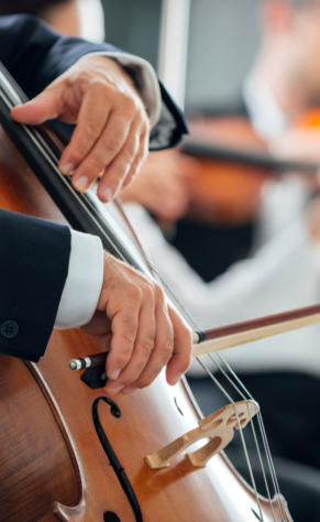 KC Strings